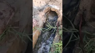 fresh water from well for crops