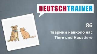 Німецька для початкового рівня (A1/A2) | Deutschtrainer: Тварини навколо нас