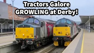 Class 37 TRACTORS Galore & GROWLING at Derby - Including LOCO CONVOY..!