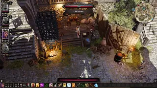 Divinity Original Sin Part 2