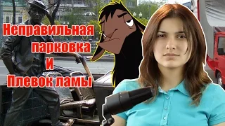 Неправильная парковка и Плевок Ламы!