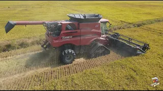 Texas Rice Harvest near Anahuac | Case IH Combines