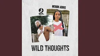 Wild Thoughts (Refix)