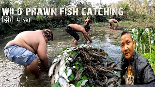 Wild Prawn Fish Catching at Jungle River!!Jhinge Machha Marnu ko Maja Beglai @ExRomeoBagjhodaLahure