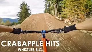 The Biggest Jumps at Whistler Bike Park | Crabapple Hits & A-line (2016) | Jordan Boostmaster