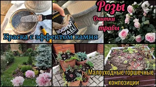 Почвопокровные растения вместо сорняков. Малоуходные растения. Краска с эффектом камня. Розы. Очитки