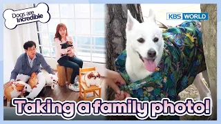 You've got the worst personality here, Seri.🤣[Dogs are incredible : EP.179-3] | KBS WORLD TV 230725