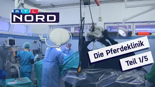 Die Pferdeklinik Teil 1: Mit Radioaktivität die Ursache von Lahmheit finden