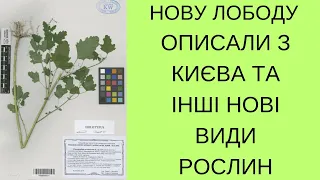 НАЙЦІКАВІШІ РОСЛИНИ, ОПИСАНІ 2020 РОКУ [ЛЕКЦІЯ]