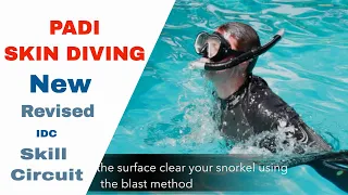 Skin Dive Scuba Diving - PADI IDC Skills Circuit • Divemaster Skills