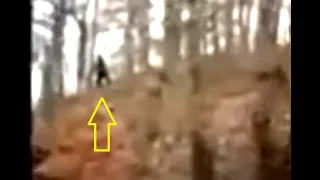 the "Horseback riders film Bigfoot" video