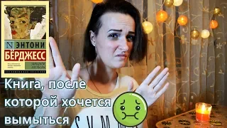 "ЗАВОДНОЙ АПЕЛЬСИН" ЭНТОНИ БЕРДЖЕСС | Отзыв о книге