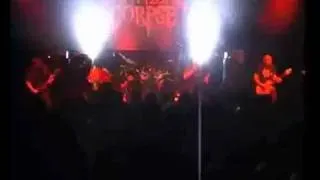 Cannibal Corpse Hammer Smashed Face (w/ Lyrics on description) (live)