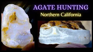 Agate Hunting Northern Ca. Se. 7 Ep. 13  #rockhounding -#thefinders  By : Quest For Details