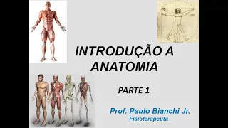 Introdução a Anatomia Humana - Parte 1