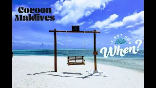 Cocoon Maldives All inclusive family resort with overwater bungalows