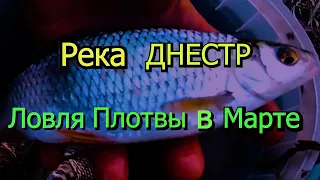 КАК??? и ГДЕ??? ловить РЫБУ на РЕКЕ ДНЕСТР в МАРТЕ на ФИДЕР!!!