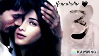 Kannuladha.| 3 movie songs | Dhanush,Sruthi Haasan| #3movie #love