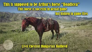 Arthur finally gets his OG horse "Boadicea" - Red Dead Redemption 2.