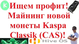 Ищем профит! Майнинг новой монеты Kaspa Classik (CAS)! Hive OS!