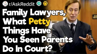 Family Lawyers, What Petty Things Have You Seen Parents Do In Court?