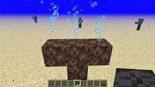 what if you create a wither in water: minecraft