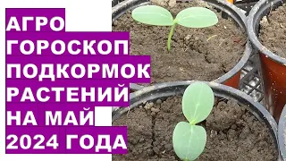 Агрогороскоп подкормок растений на май 2024 годаAgrohoroscope of plant nutrition for May 2024