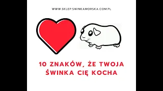 10 znaków, że Twoja kawia Cie kocha!