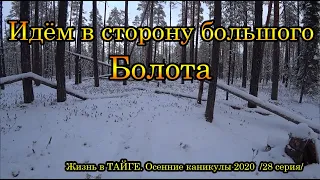 Жизнь в ТАЙГЕ. Осенние каникулы 2020  /28 серия/