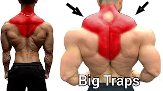 Upper Traps Middle Traps And Lower Traps Workout Gym - Traps