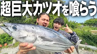 【爆食】超巨大4キロのカツオを入手！カツオの藁焼きなど色々な料理にして食べ尽くす！