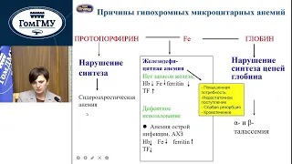 Ходулева С.А. Дифференциальная диагностика анемий. Часть 1.