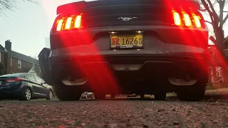 Mustang EcoBoost w/PD Burble+pop Exhaust Tune