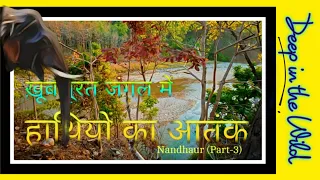 Nandhaur Wildlife Sanctuary (Part 3) || #Jim Corbett National Park #Nandhaur Wildlife Sanctuary