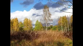 "ЧТО ТЫ РАНО, ТРАВУШКА"... (Фото Галины Сироткиной (Рыбинск), поют Карина и Рузана Лисициан)