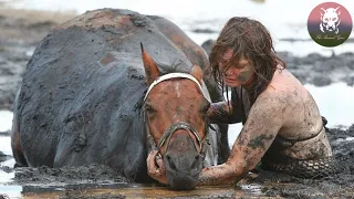 Woman Stays with Trapped Horse and Does Everything She Can to Save It's Life