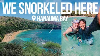 Best Snorkelling in Oahu, Hawaii | Hanauma Bay