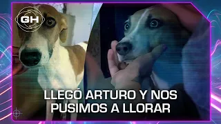 Arturo: el perro maltratado, explotado en las carreras y abandonado en un baldío que necesita amor