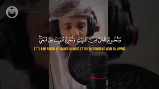 ❤️ Yasser Al Zailay (ياسر الزيلعي) | Sourate Al-Imran (25-29) | 😍 Magnifique récitation ❤️ .