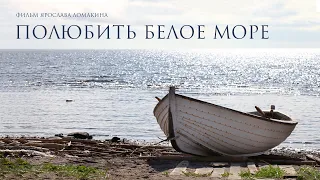 "Полюбить Белое море", документальный фильм