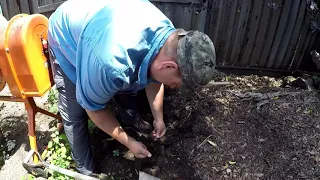 How To Turn POOR Garden Soil Into SUPER Soil In Seconds