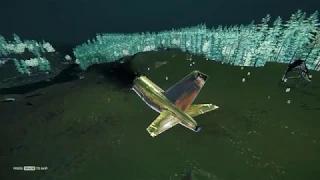 The Forest Plane crash third person view