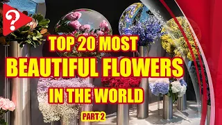 Top 20 Most Beautiful Flowers in the World (Part 2)