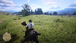 RDR2 - When the developers actually love their games..