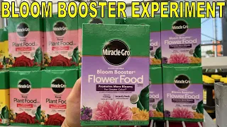 Does BLOOM BOOSTER Work? Surprising Fertilizer Results!