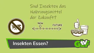 Sind Insekten das Nahrungsmittel der Zukunft? | GLFtv