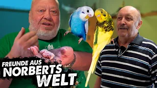 NORBERT BEIM SITTICHZÜCHTER JÜRGEN | FREUNDE AUS NORBERTS WELT | Zoo Zajac