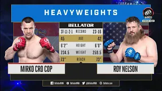 Mirko Cro Cop vs Roy Nelson full fight!! 16.02.2019!