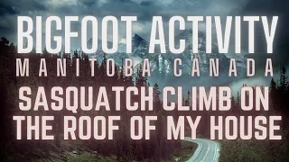 BIGFOOT VISITS PROPERTY IN MANITOBA CANADA | SASQUATCH ON MY ROOF