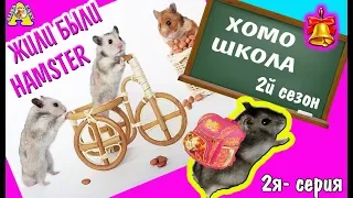 Сериал ЖИЛИ  БЫЛИ Хомки Свинки Кот 2 часть / ХОМО-ШКОЛА / Alisa Easy Pets